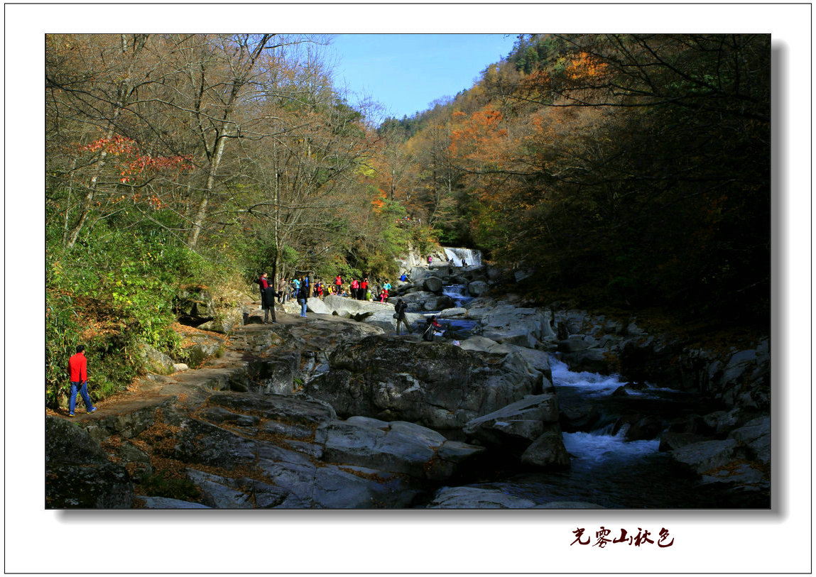 _MG_9477.jpg