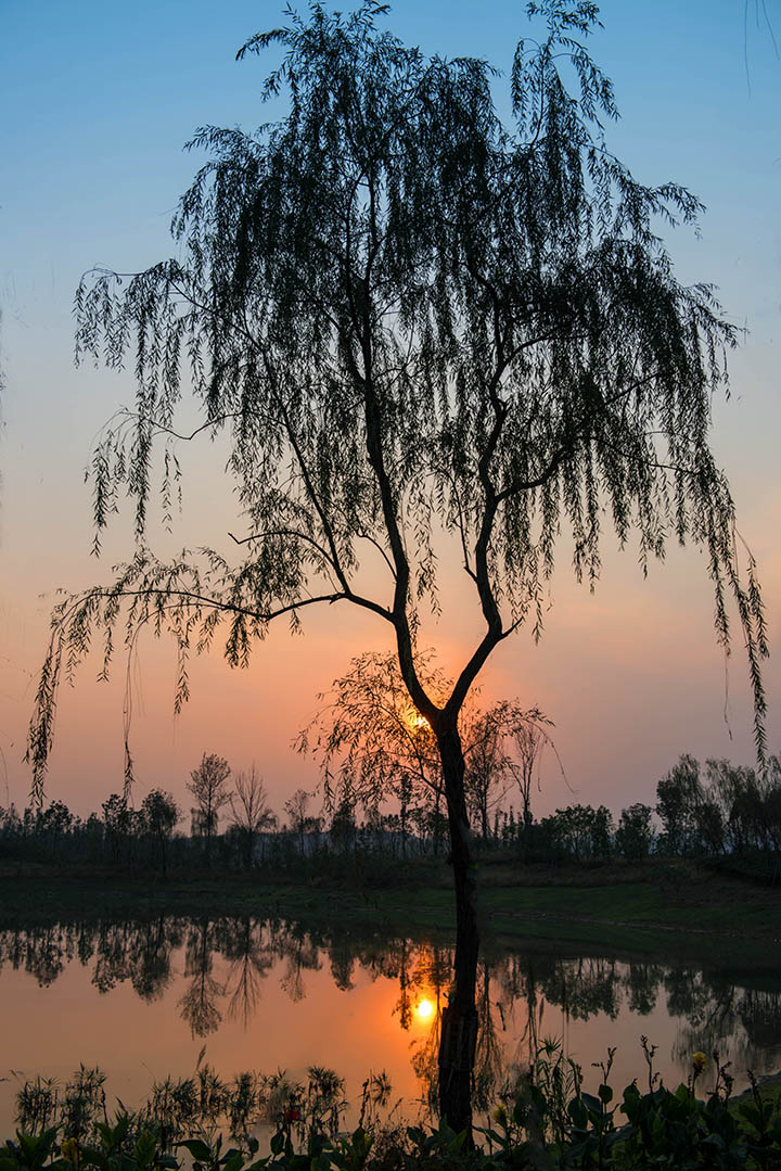 20141105-BBD_6117-1.jpg