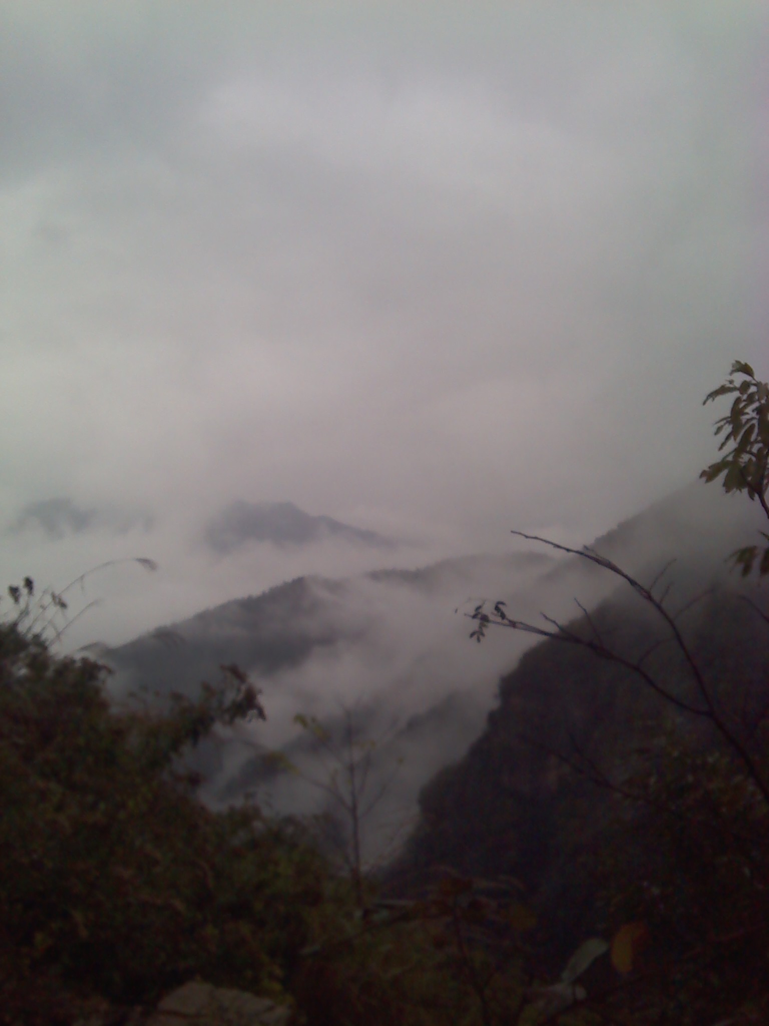 2014Ͽ̽շ羰ͼIMG_20141109_091631_0.jpg