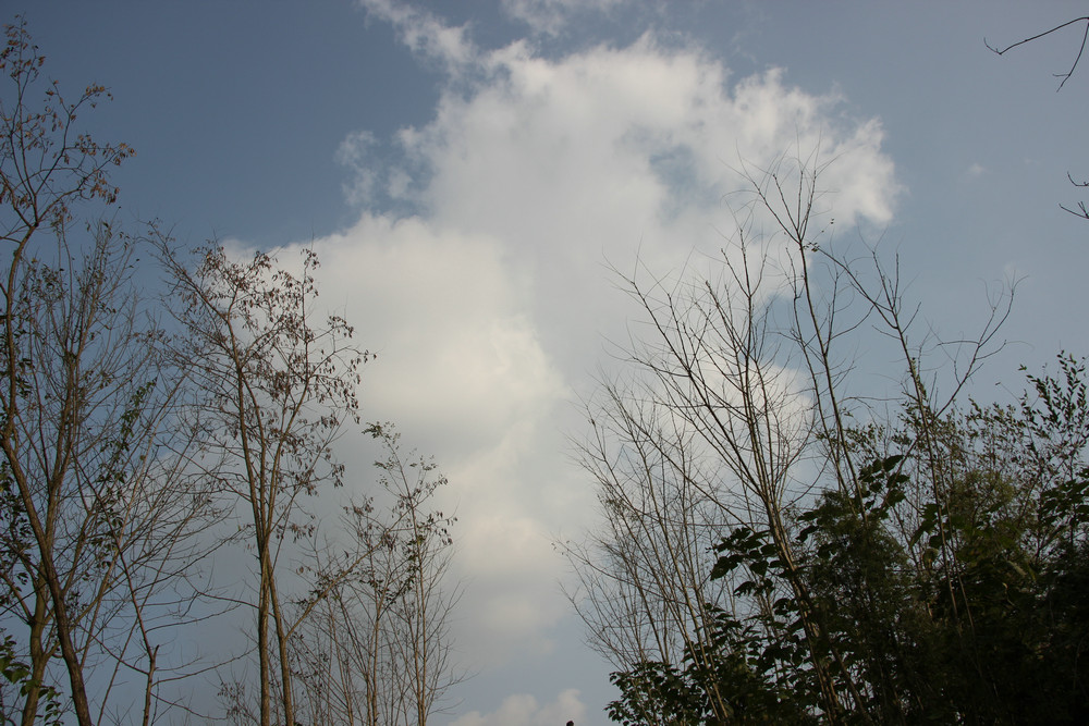103.JPG