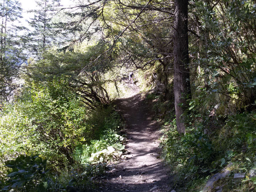 20141004_145050.jpg