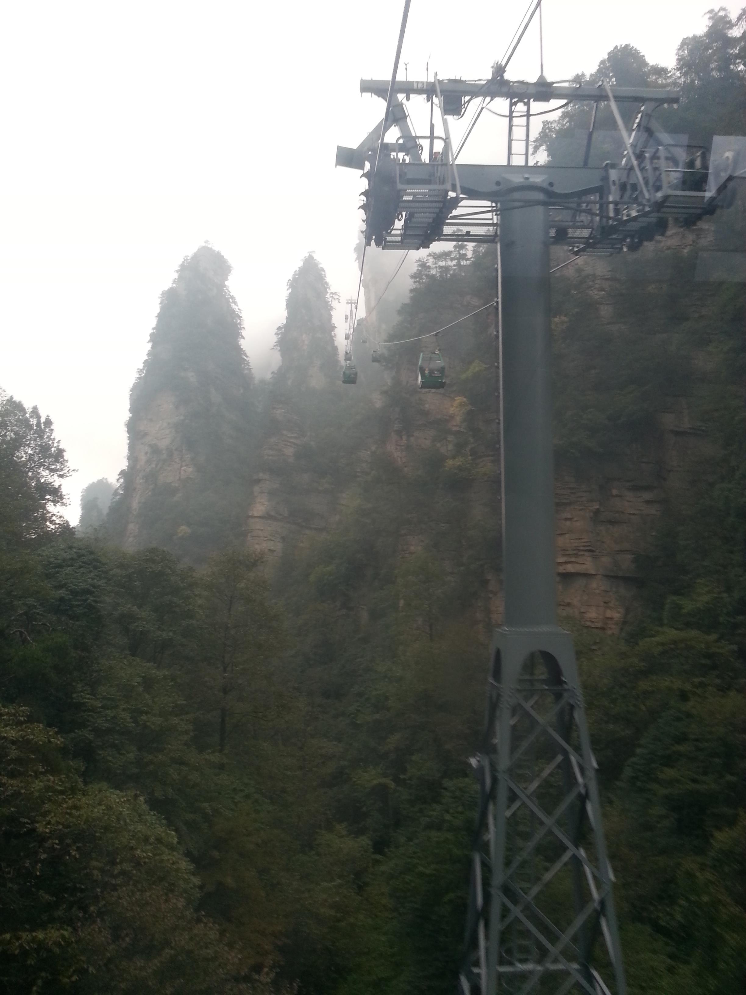 20141108_092831.jpg