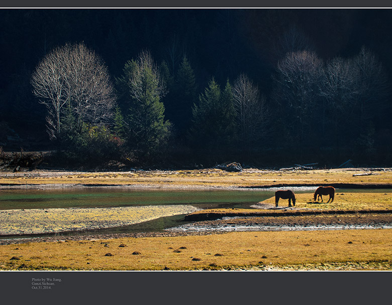 DSC_0191-2.jpg