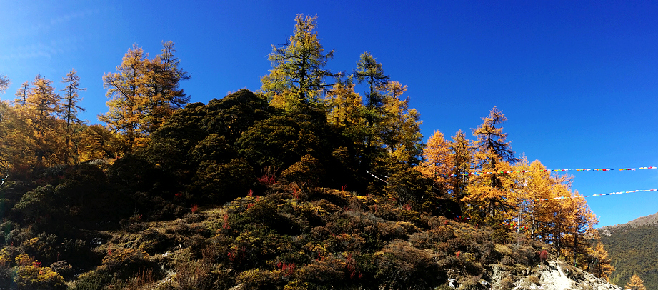 20141018_153327.jpg