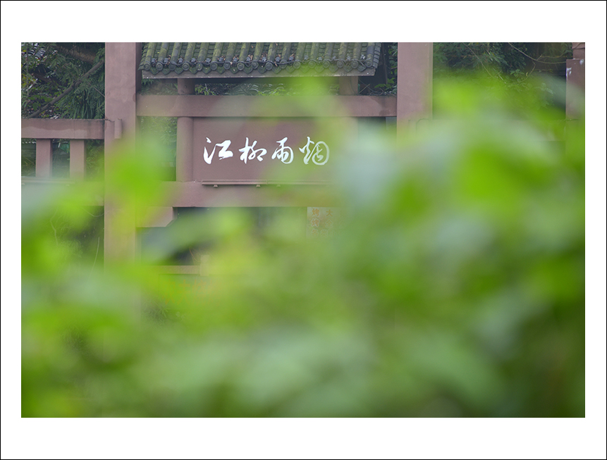 DSC_7916.jpg