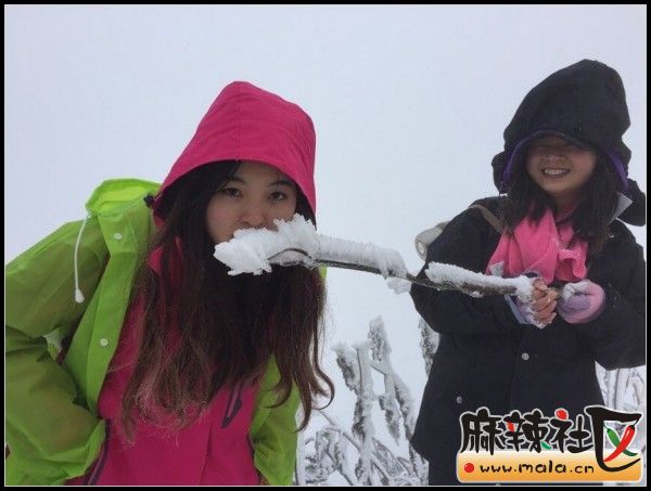 conew_qqͼƬ20141103102559.jpg
