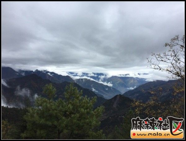conew_qqͼƬ20141103103154.jpg