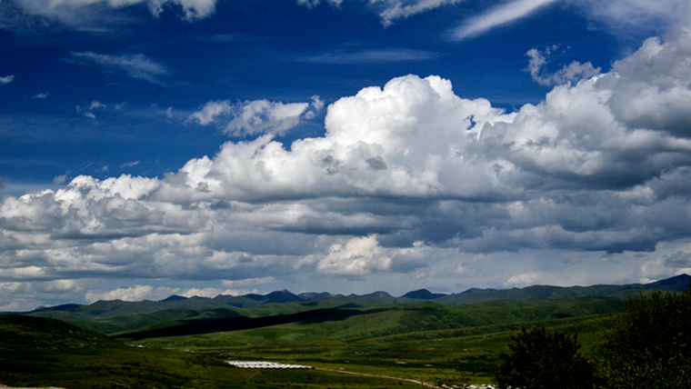 DSC_3020.JPG