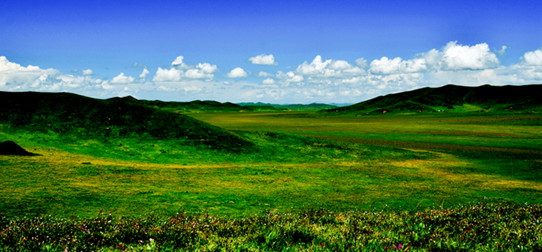 DSC_3466.JPG