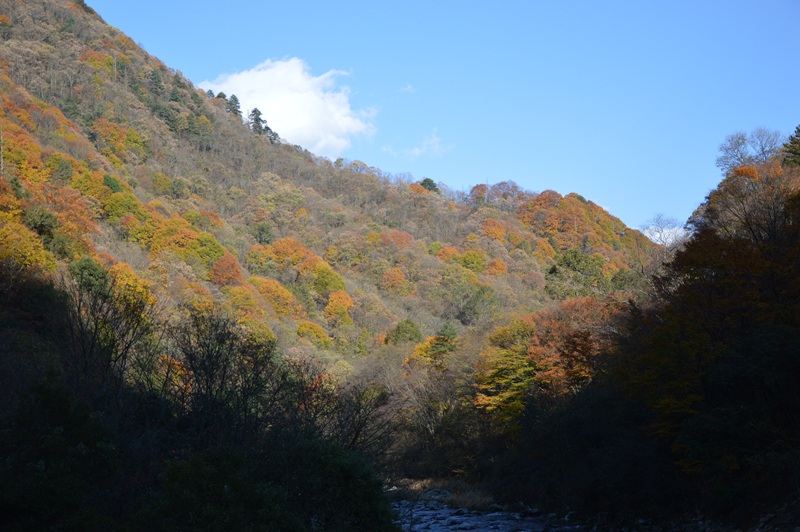 DSC_0214.jpg