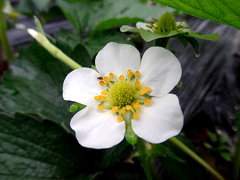 DSC02391_.jpg