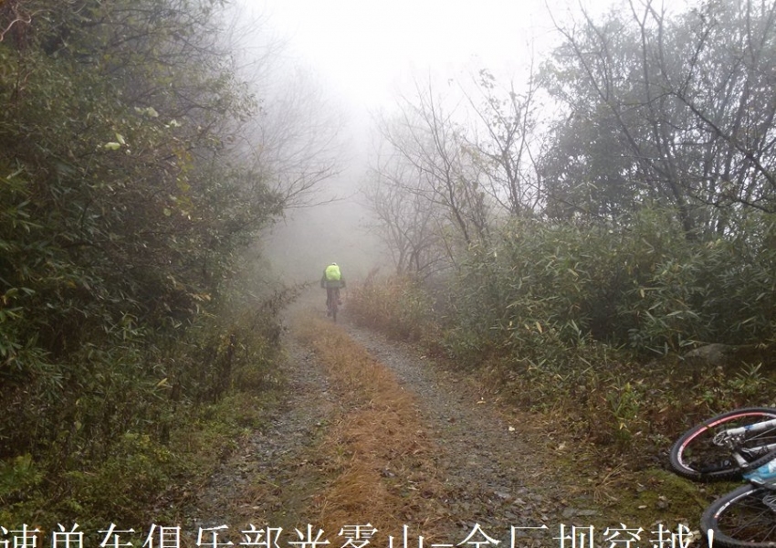 20141108_114952.jpg.thumb.jpg