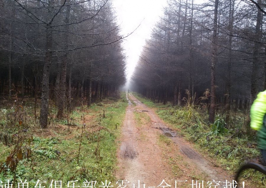 20141108_134431.jpg.thumb.jpg
