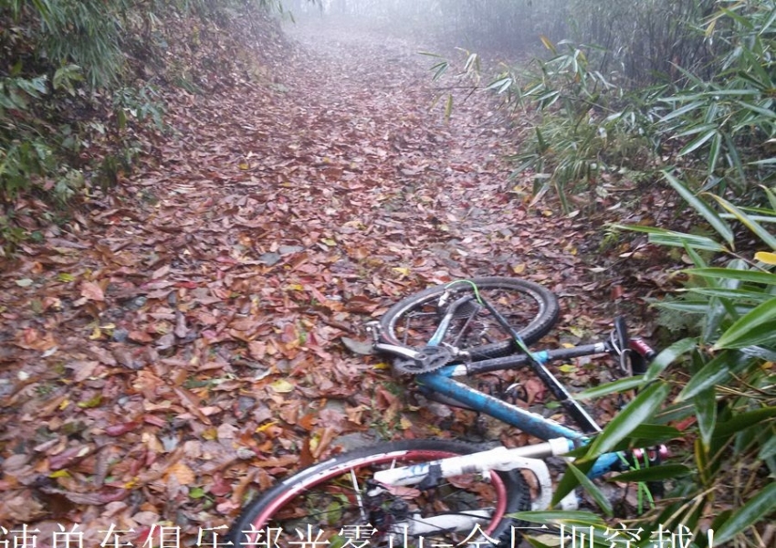 20141108_124133.jpg.thumb.jpg