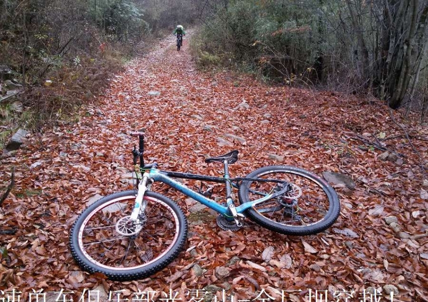 20141108_132920.jpg.thumb.jpg
