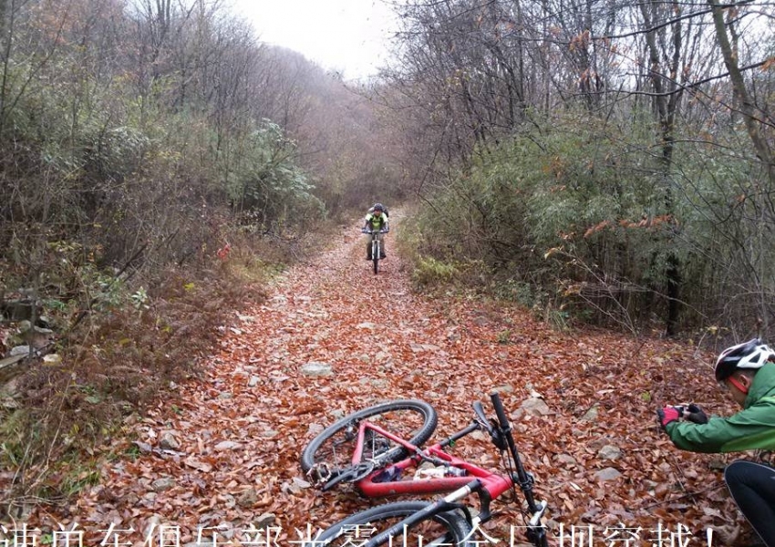 20141108_133203.jpg.thumb.jpg
