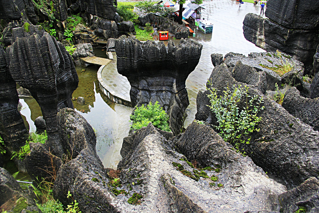 重庆武隆 龙鳞石海〔五