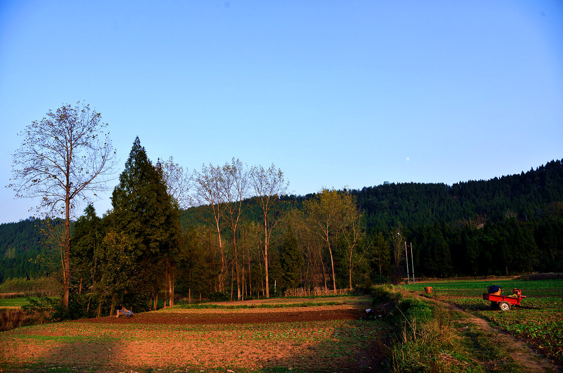 QQͼ20141104095604.jpg