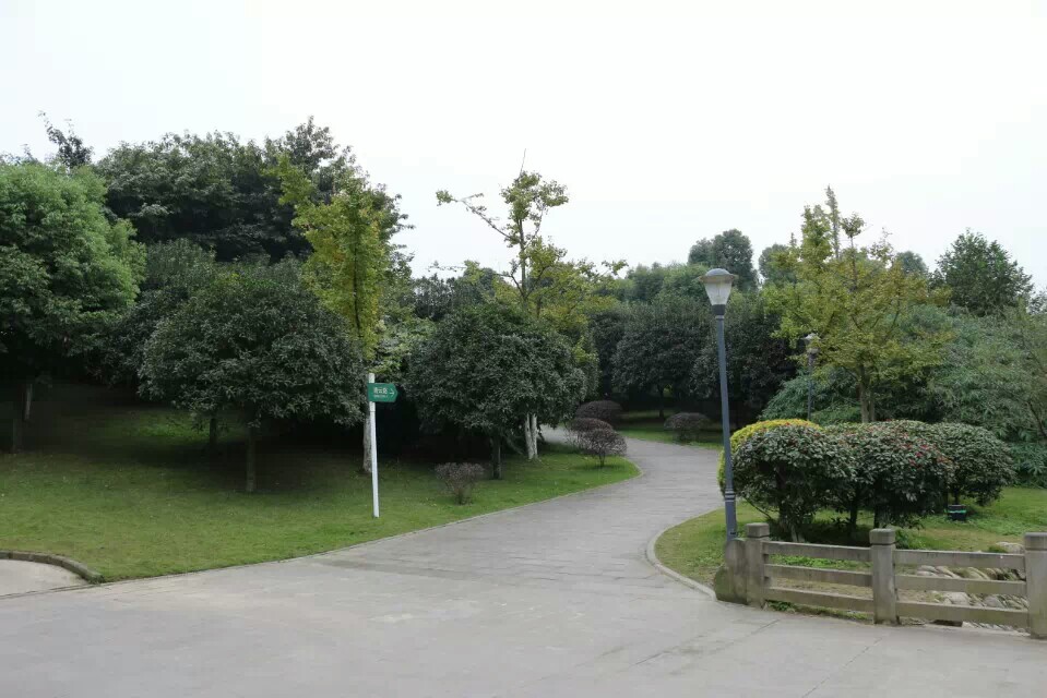 1416487998500.jpeg