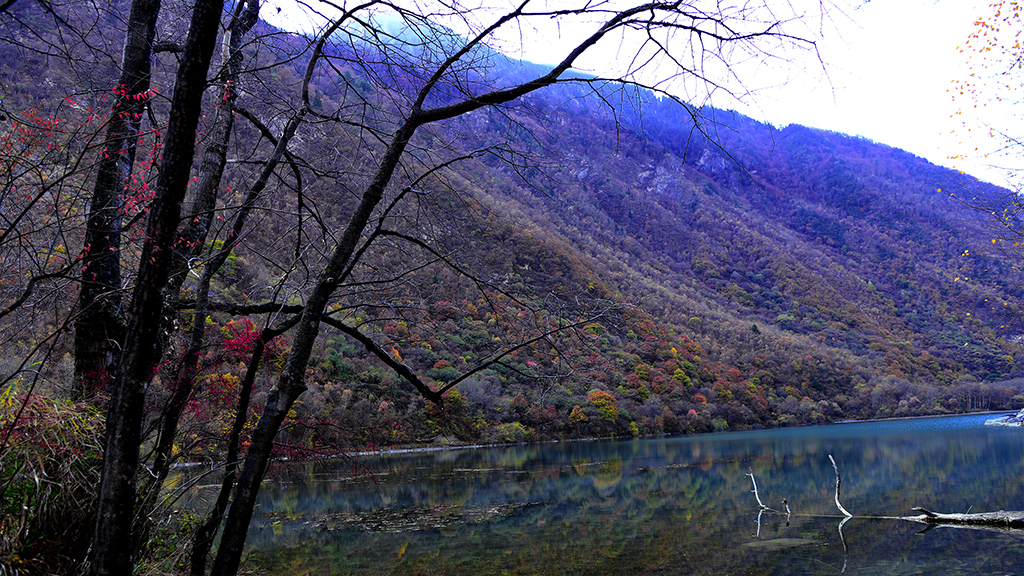 DSC_A3249.jpg