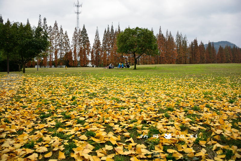 DSC_9031_.jpg