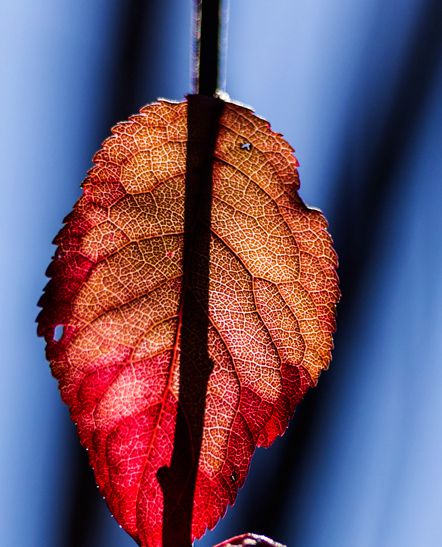 DSC_07291_.jpg