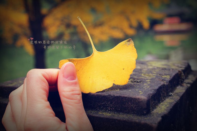 Ƭ 054_.jpg