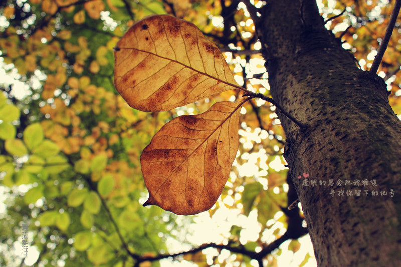 Ƭ 026_.jpg