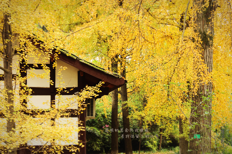 Ƭ 055_.jpg