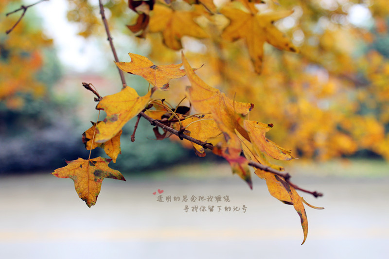 Ƭ 035_.jpg