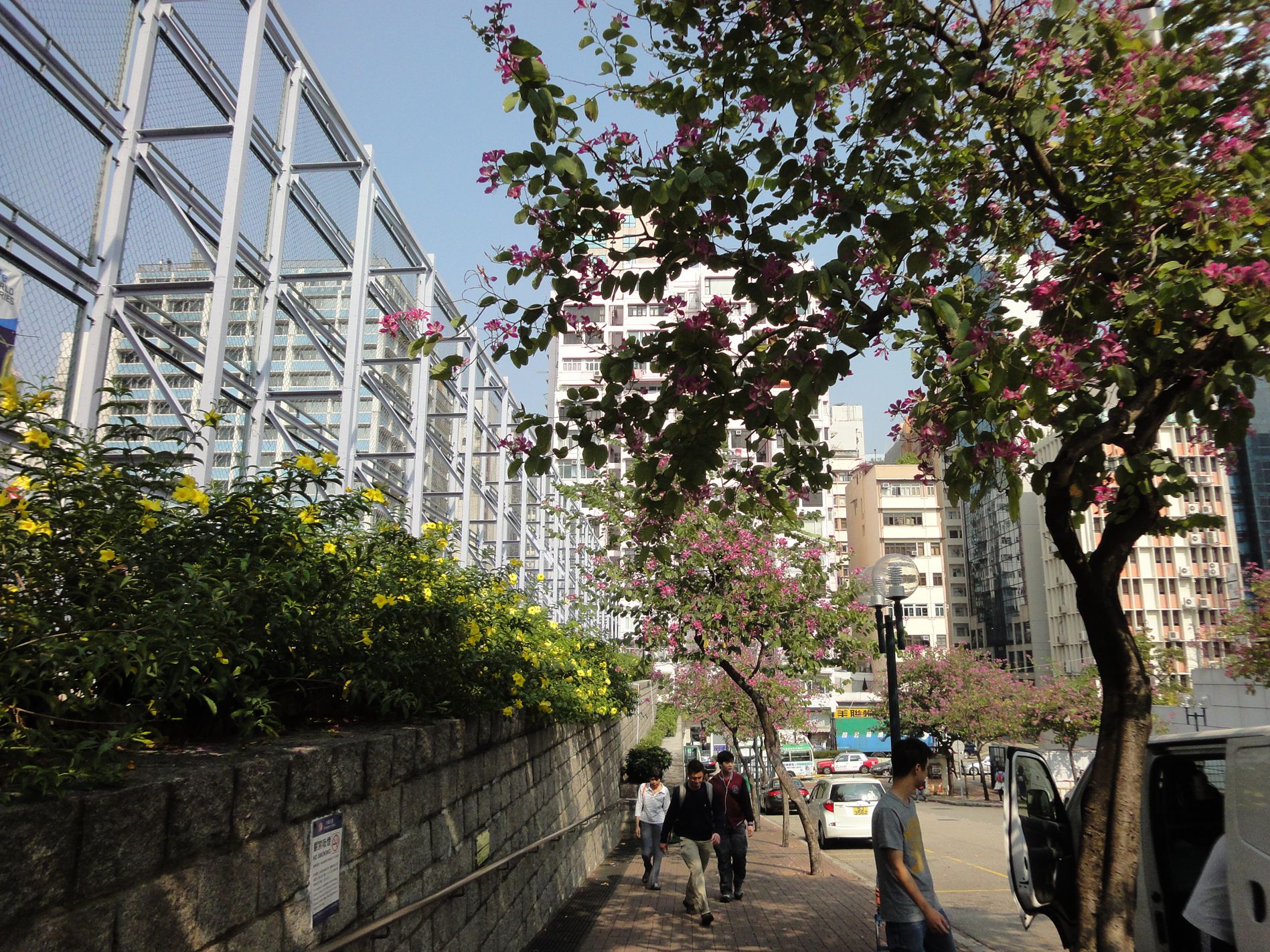 DSC04245.JPG