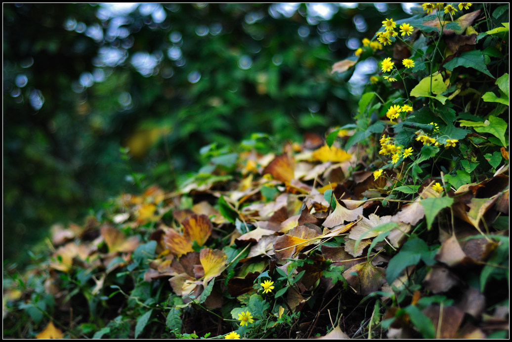 NIKON D9021.jpg