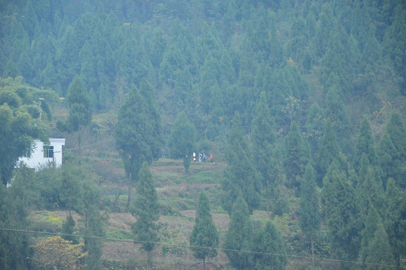 DSC_0022.jpg