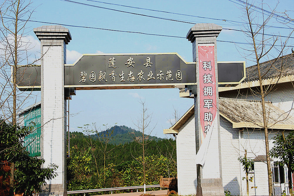 233.JPG