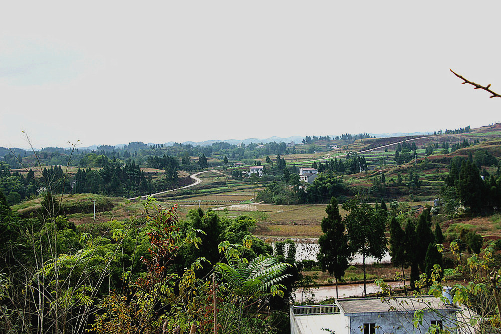 215.JPG