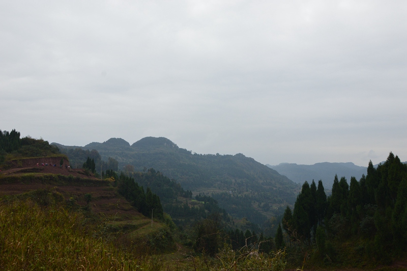 DSC_0035.jpg