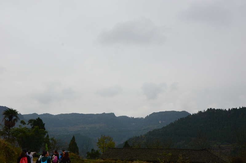 DSC_0049.jpg