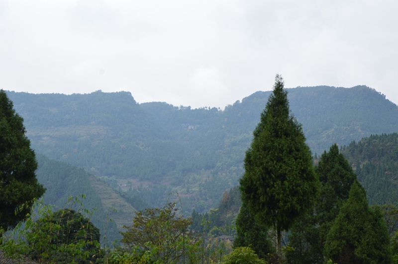 DSC_0053.jpg