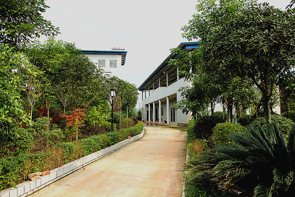 168.JPG