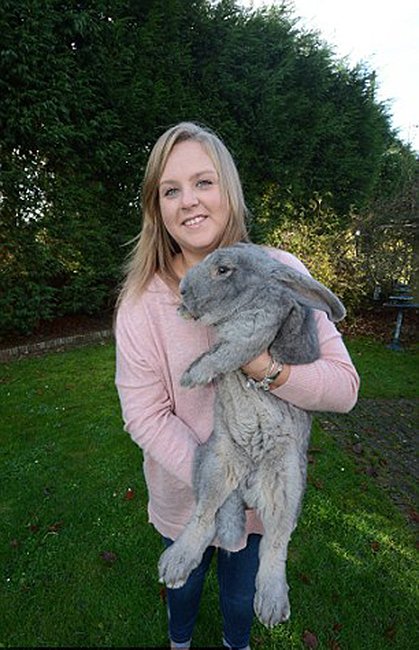 探秘英国独眼巨兔的生活