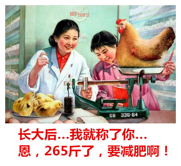 70年代宣传画恶搞