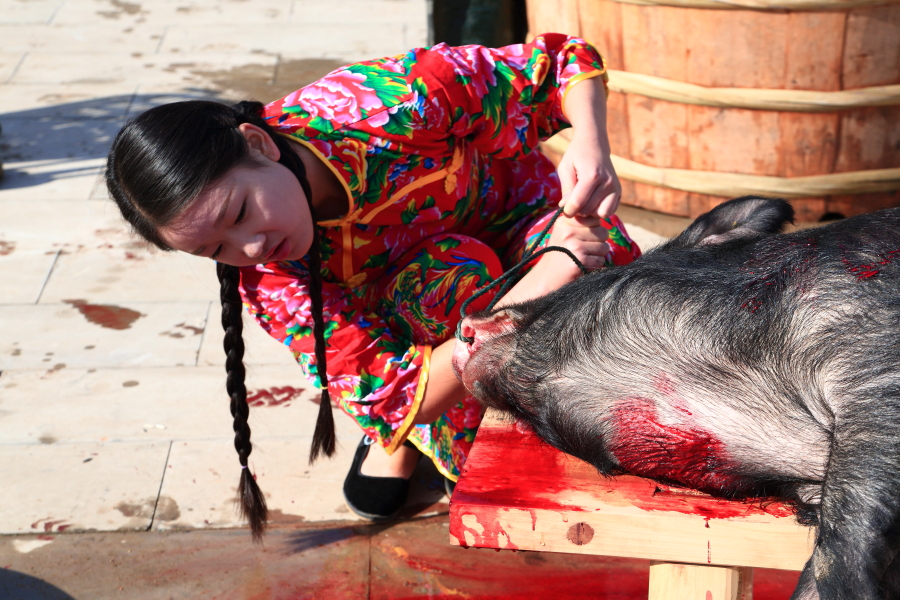 红光玉湖 美女与野兽,请看家乡的杀猪场面(血腥场面,胆小勿入)