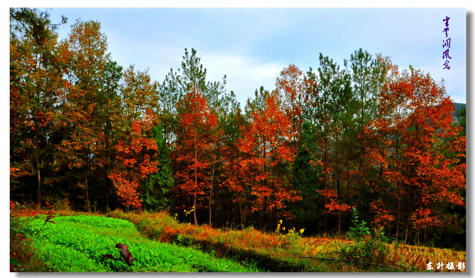 DSC_0035.JPG