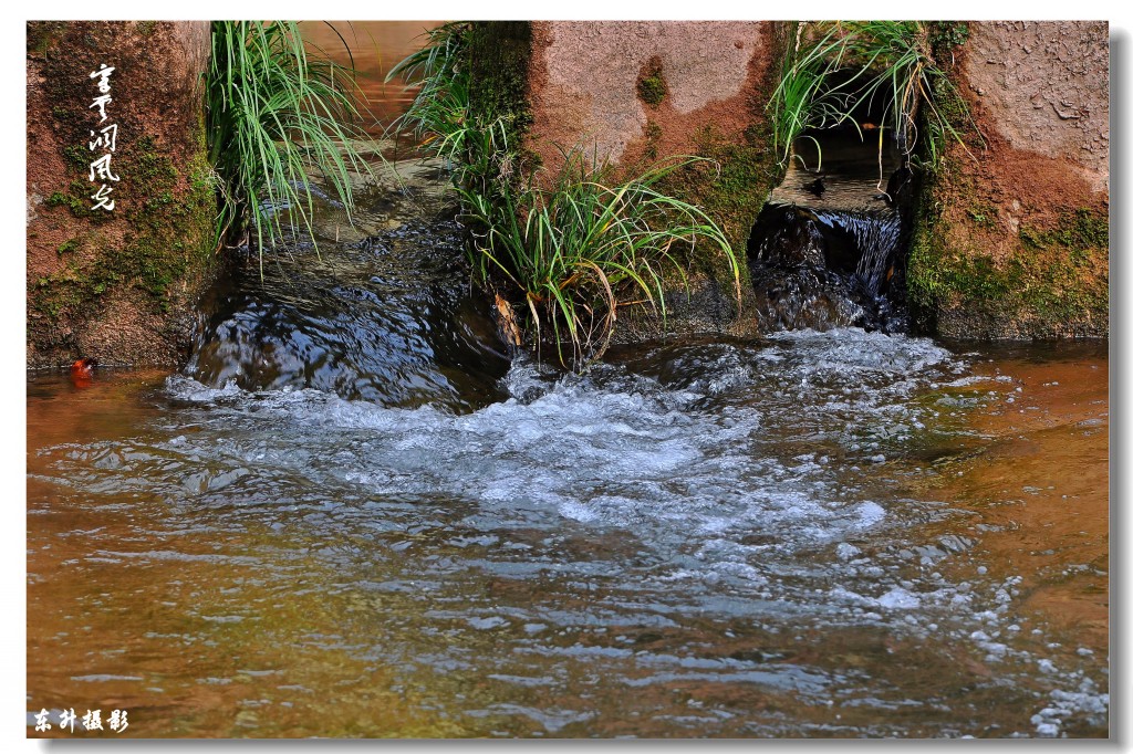 conew_dsc_0050.jpg