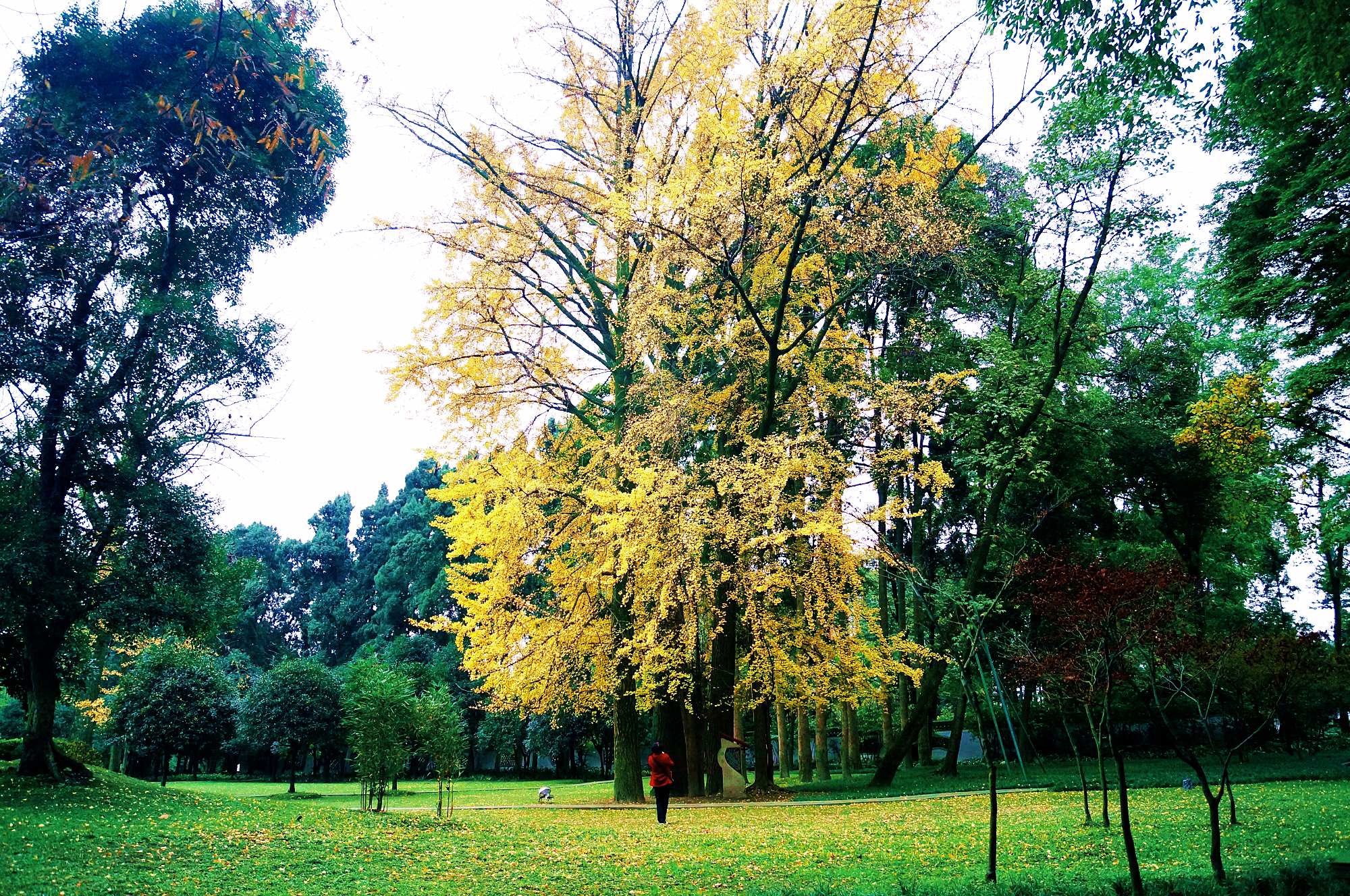 DSC09428_ͼ_copy.jpg