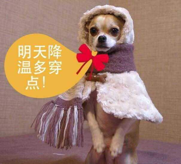 QQͼƬ20141203193542.jpg