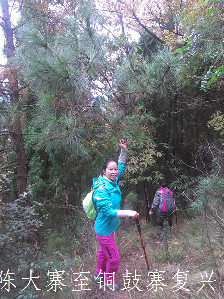 IMG_20141206_115518.jpg