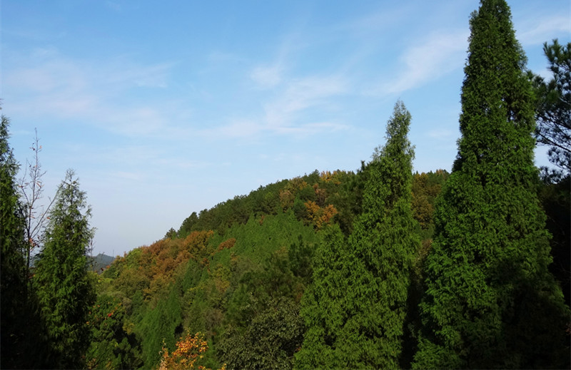 DSC00880_.jpg