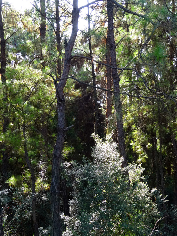 DSC00926_.jpg