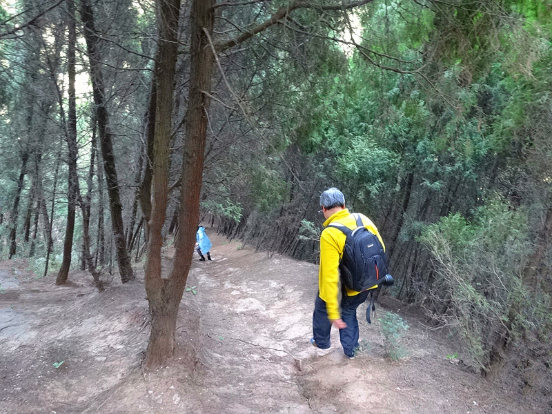 DSC00959_.jpg